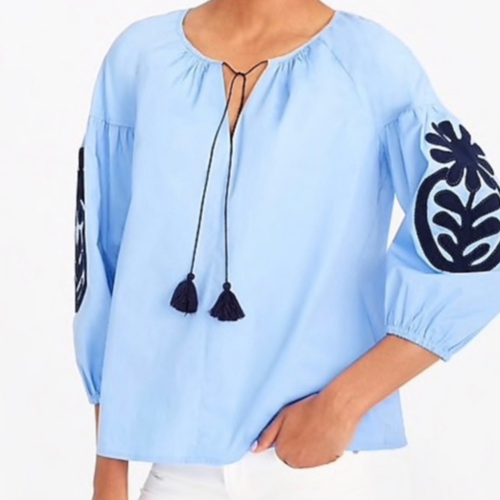 J. Crew Light Blue Peasant Blouse with Black Embroidered Sleeves
